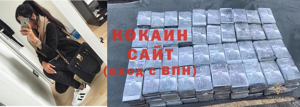 стафф Надым