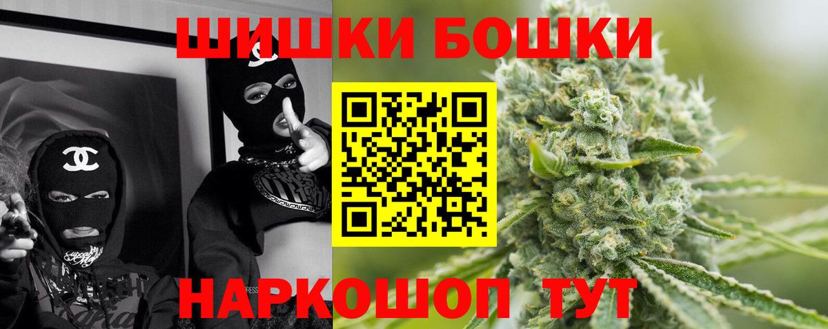 Бошки марихуана конопля Ноябрьск